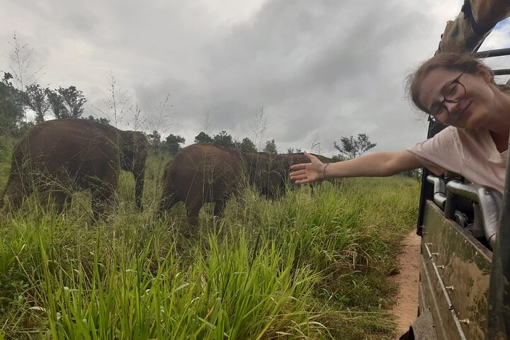 The chance to get close to the elephants and see them.